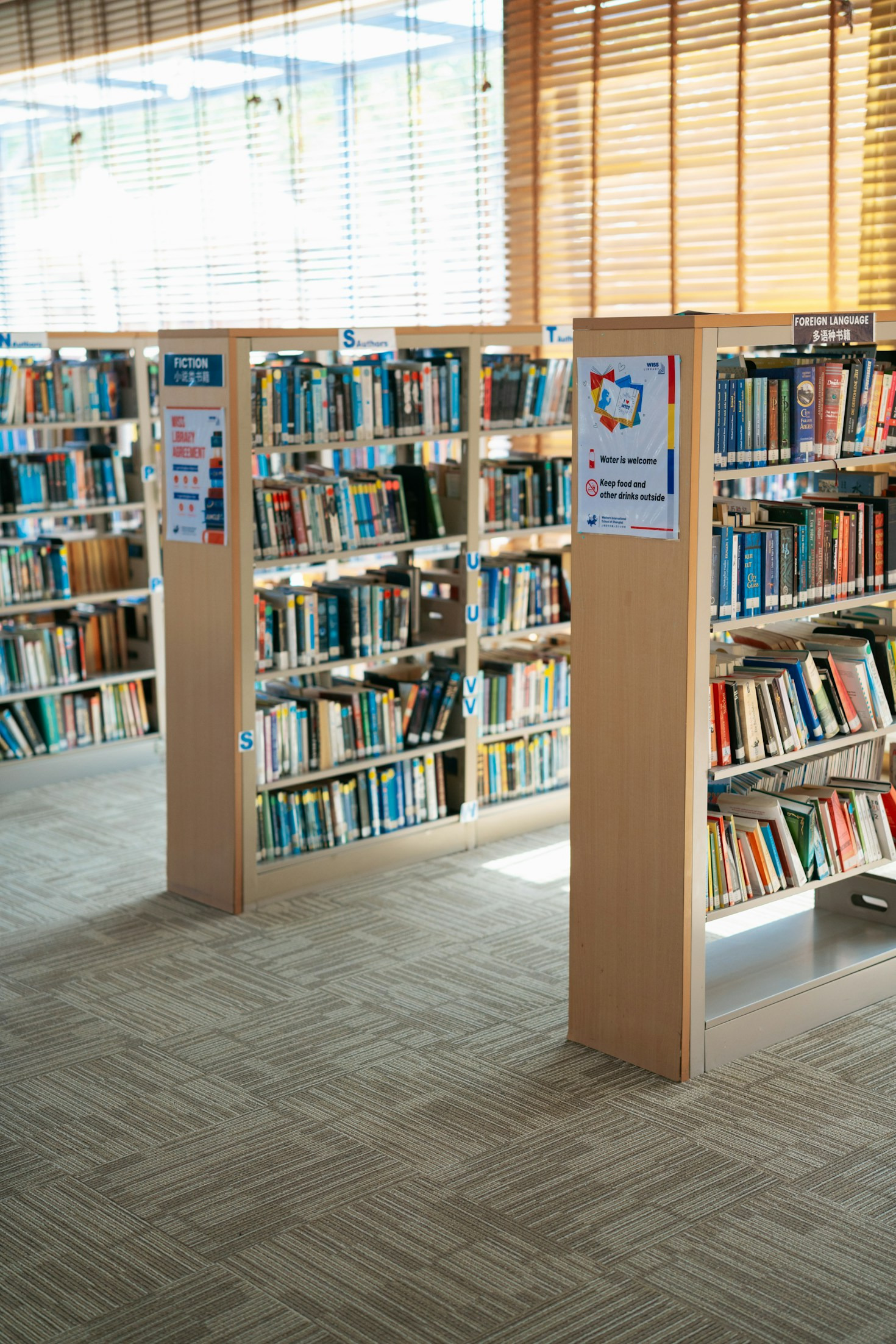 Overcoming Challenges of Studying in Another Country